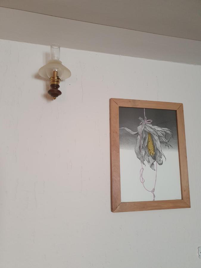 B&B Il Pettirosso Malonno Екстериор снимка